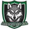 Acambaro FC