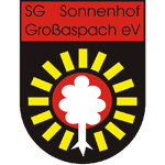Bayer Leverkusen