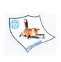 FK Shkupi