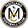 Kahibah FC