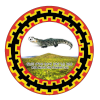 Shire Endaselassie FC