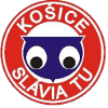Partizan Bardejov