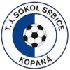 Srbice
