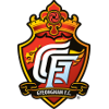 Yongin FC
