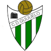 CF Palencia