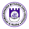 Neftochimik