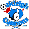 St Albans Saints
