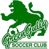 Avondale FC