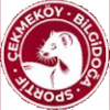 Giresun Sanayispor (W)