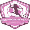 Rover Ladies FC (W)