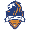 FC Platinum
