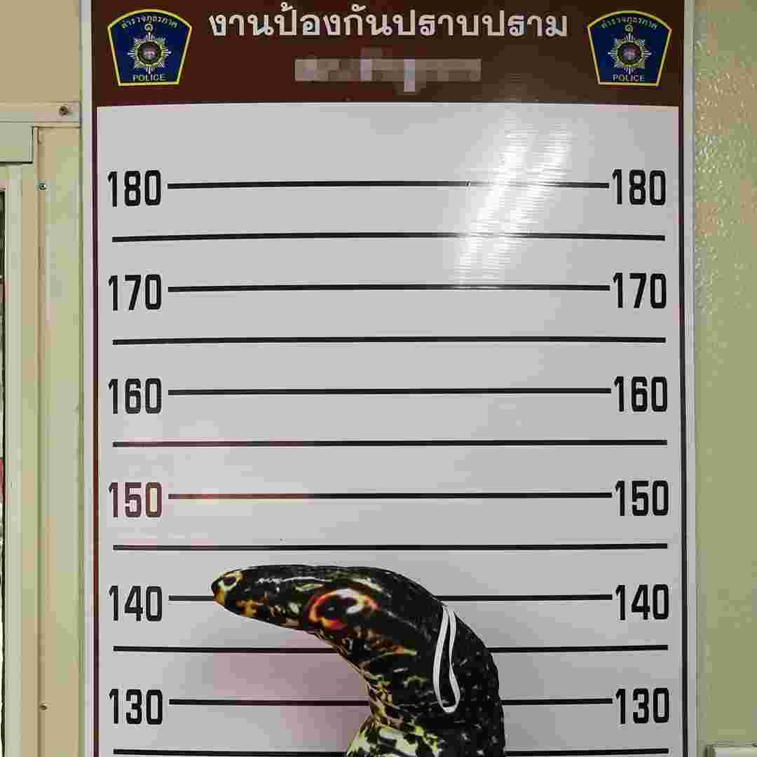 เซียนเต้