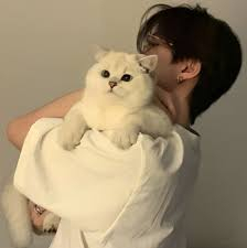 น้องบอลส่องเกม