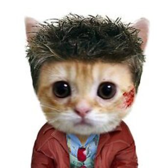Tyler Durden