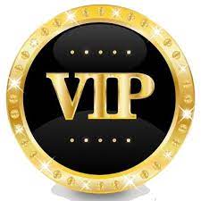 VIP100%
