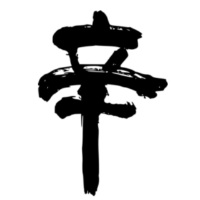 Shin12