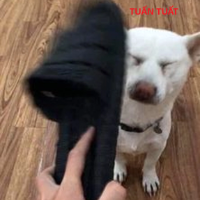 Duật Tiết