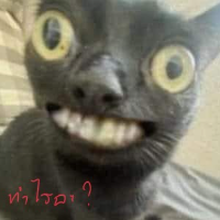 เฮียเอส นำทางรวยบอล